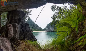 Gìn giữ "tài sản xanh”