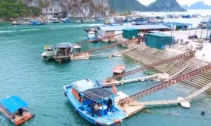 Tăng cường năng lực kiểm soát tàu cá qua hệ thống cảng