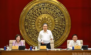 Đổi mới mạnh phương thức từ "thẩm tra hồ sơ" sang "thẩm tra chính sách"