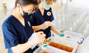 Nền tảng triển khai hiệu quả chính sách an sinh cho người khuyết tật