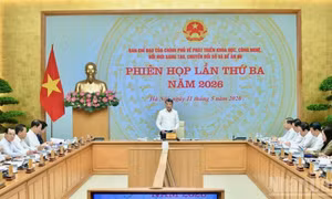 Tập trung phát triển đồng bộ hạ tầng số, chuyển đổi số toàn diện