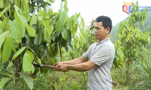 Hạt nhân đoàn kết ở Khe Lọng Trong