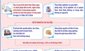 Ra quân ngăn chặn, xử lý hành vi xâm phạm quyền sở hữu trí tuệ trên toàn quốc