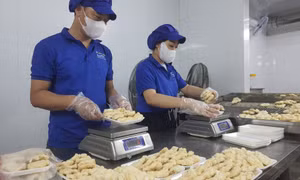 Thắt chặt quản lý hoạt động sơ chế, chế biến thủy sản