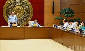 Sắc bén trong thẩm tra chính sách, quyết liệt trong giám sát thực thi