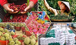 Tiêu chí đánh giá, phân hạng sản phẩm OCOP
