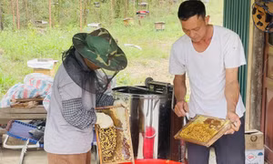 Gỡ “nút thắt” đầu ra cho nông sản
