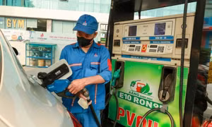 Bộ Công Thương: Hầu hết các loại xe đều phù hợp để sử dụng xăng E10