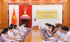 Đoàn giám sát HĐND tỉnh làm việc với các phường Liên Hòa, Bình Khê