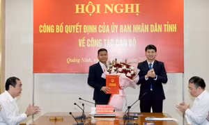 Công bố quyết định của UBND tỉnh về công tác cán bộ