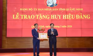 Đảng ủy UBND tỉnh trao tặng Huy hiệu Đảng đợt 19/5/2026