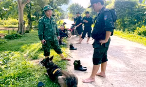 Hơn 100 người cùng chó nghiệp vụ vây ráp vùng rừng biên giới truy bắt nghi phạm giết vợ cũ