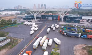 Đồng hành cùng doanh nghiệp tự nguyện tuân thủ pháp luật hải quan