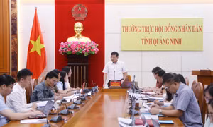 Đoàn giám sát HĐND tỉnh làm việc với phường Hoành Bồ, xã Quảng La
