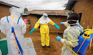Bộ Y tế hỏa tốc yêu cầu phòng chống bệnh do vi rút Ebola, theo dõi người về từ vùng dịch