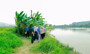 Chủ động phòng chống thiên tai từ sớm, từ xa