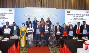 Việt Nam - Sri Lanka thúc đẩy hợp tác thương mại, đầu tư và du lịch lên tầm cao mới
