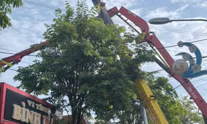 Cần bơm bê tông gãy đổ khi sửa nhà, 1 người tử vong