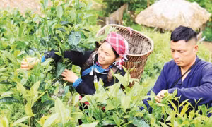Quảng bá du lịch qua mạng xã hội