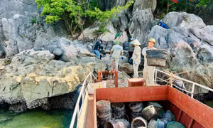 Thu gom, tiêu hủy 7.000 lồng sau nuôi trồng thủy sản trái phép trên Vịnh Hạ Long