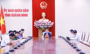 Tổ công tác theo dõi, giám sát thường xuyên các lĩnh vực dễ phát sinh tham nhũng, lãng phí, tiêu cực họp triển khai nhiệm vụ