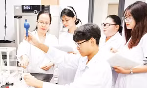 Năng lực số trong phát triển con người toàn diện