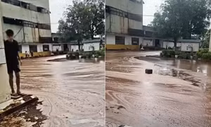 Sét đánh trúng nhà máy đường, hàng ngàn tấn mật tràn ra ngoài