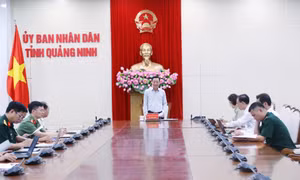 Phối hợp nâng cao hiệu quả công tác nội chính, cải cách tư pháp và phòng, chống tham nhũng