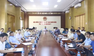 Phó Chủ tịch Thường trực UBND tỉnh Vũ Văn Diện làm việc về xây dựng cầu Bắc Luân III