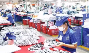 Thiết kế chính sách làm “bệ phóng” cho kinh tế tư nhân