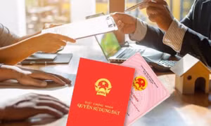 Không còn hồ sơ giao đất, làm sao để cấp Giấy chứng nhận?