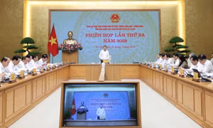 Phát triển đồng bộ hạ tầng số, chuyển đổi số toàn diện, tạo thuận lợi tối đa cho người dân, doanh nghiệp