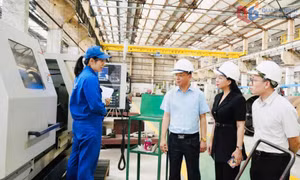 Động lực chính của mô hình tăng trưởng mới