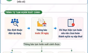 Những điều cần lưu ý về tạm hoãn xuất cảnh do nợ thuế