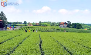 Đường Hoa xây dựng sản phẩm du lịch đặc trưng 