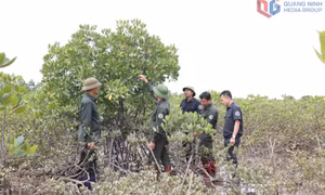 Đồng bộ quản lý tài nguyên, môi trường