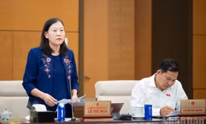 Cử tri và nhân dân lo ngại tình trạng lừa đảo trực tuyến, đánh cắp dữ liệu cá nhân