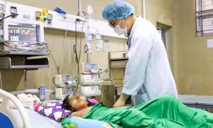 Chơi trốn tìm, bé gái lớp 4 bị ong vò vẽ đốt hơn 70 vết