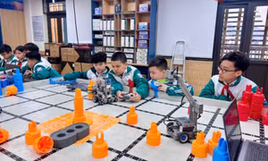 Chỉ đạo tuyển sinh trường THCS trọng điểm, chất lượng cao