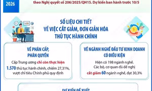 Cắt giảm thực chất thủ tục hành chính, quy định kinh doanh