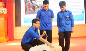 Phát huy vai trò của tổ chức Đoàn