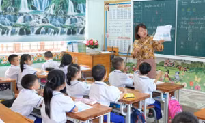 Chuyển vị trí việc làm có phải tập sự lại?