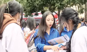 Chọn nghề giữa làn sóng AI