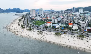 Các bãi tắm Quảng Ninh luôn đông kín du khách