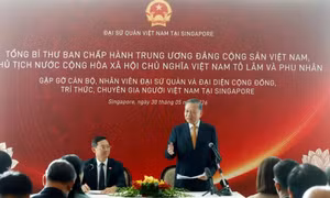 Cộng đồng người Việt Nam tại Singapore tiếp tục đoàn kết, phát triển, hướng về quê hương