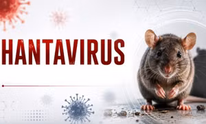 Bộ Y tế thông tin về xét nghiệm virus Hanta