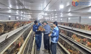 Xây dựng NTM: Phát huy vai trò chủ thể của người dân 