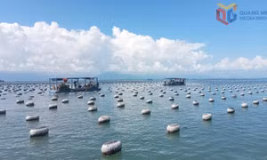 Đầm Hà siết chặt quản lý bãi triều, mặt nước nuôi trồng thủy sản
