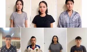 Khởi tố, tạm giam ca sĩ Miu Lê