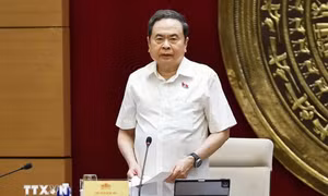 Ủy ban Khoa học, Công nghệ và Môi trường không được phép đi sau thực tiễn